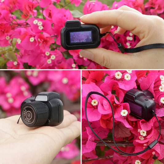 Mini LOX Camera TM